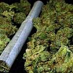 Bundesrat billigt trotz Kritik die Teil-Legalisierung von Cannabis. Besitz und Anbau ab 1.April erlaubt.